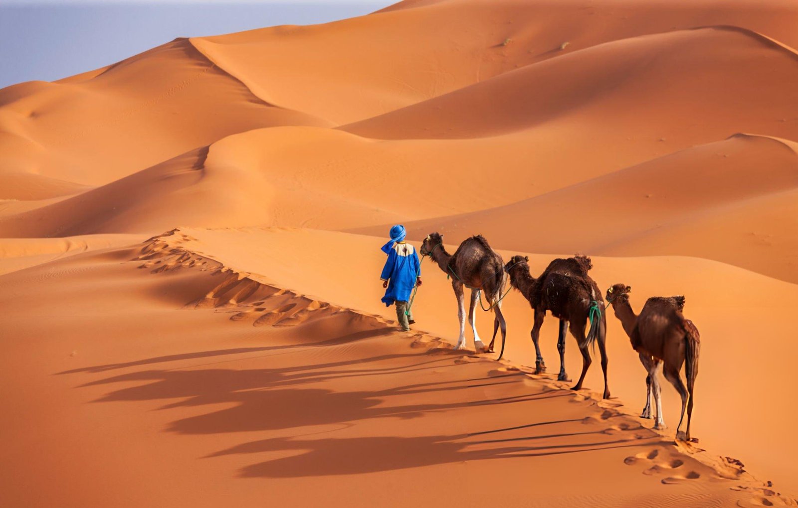 Sahara desert dunes at sunset Merzouga Morocco